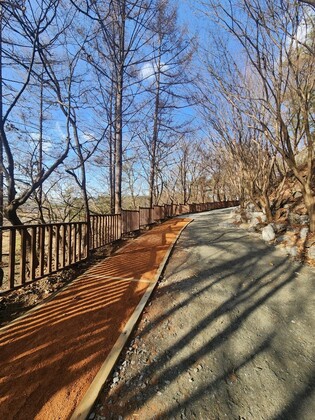 청주 옥화자연휴양림 시설개선 완료…황톳길 등 조성