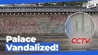 Gyeongbok Palace vandalized... Search ongoing for suspect