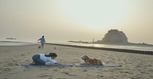 반려동물 동반 태안 해넘이 투어, 3시간 만에 마감 인기몰이