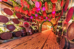 와인동굴서 크리스마스 음악회를…김해 낙동강레일파크 23∼25일