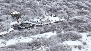 "제주 설경버스 타고 한라산 눈구경 가세요"