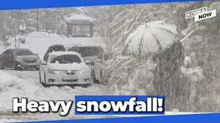 [Real Footages] Cold wave and heavy snow hit S. Korea