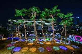 "더 화려해진 세종 빛 축제 구경 오세요"…조형물 대폭 보강