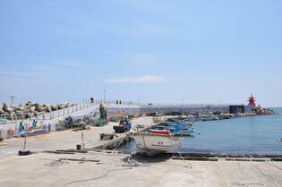 울산 주전항 어촌뉴딜 마무리…4년간 96억 들여 어항 시설 확충