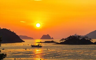 진도군, 해넘이·해맞이 4년 만에 개최