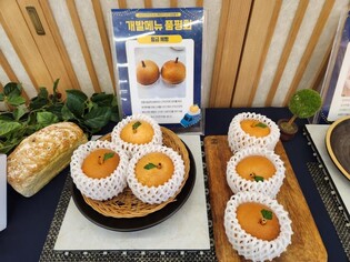 진주시, 지역특산물 활용 특화 먹거리 '황금배빵' 개발