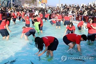 강원 평창·홍천·화천 '물고기 축제장' 수질 청정