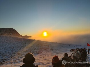 작년 제주 관광객 1천334만명…"관광산업 변화에 빠르게 대응"