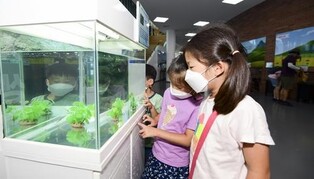 남원 백두대간교육장, 용 닮은 세계 양서류·파충류 특별전시