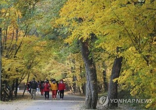 문화재관람료 사라진 법주사…작년 탐방객 11% 늘어