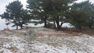 촬영소품 방치 제주 '몸살'…오름에 정체모를 흰 물질