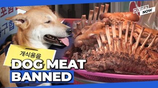 S. Korea passes bill to ban eating dog meat