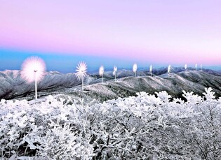 [Yonhap Imagine] Mesmerizing eco-tourism in Hoengseong, Gangwon Province