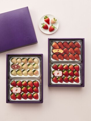 한 달 앞으로 다가온 설…온라인몰도 선물 세트 기획전