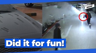 Teens use fire extinguishers to vandalize parking lot