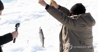 "손맛이 너무 좋아요"…동남아 관광객도 화천산천어축제 '만끽'(종합)