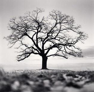 영국 사진가 케나의 한국 풍경사진들…공근혜갤러리 전시