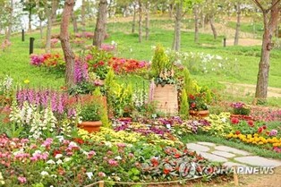 임실군, 올해 관광객 '1천만 유치' 목표…명품관광지구 구축