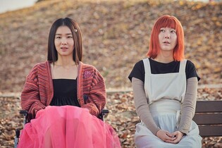 누가 내 상처를 맨드라미꽃으로 봐줄 때…영화 '세기말의 사랑'