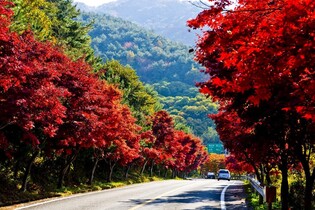 산청 지리산 관광벨트 구축 본격화…밤머리재 사업 120억 확보