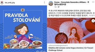 중국 옷·일장기 연상 그림…한국 재외공관 SNS서 오해 초래(종합)