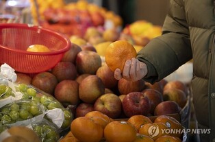 성남시, 설명절 물가 집중 점검…성수품 가격동향 4차례 공개
