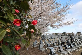 제76주년 제주4·3추념식 슬로건은 '불어라 4·3의 봄바람…'