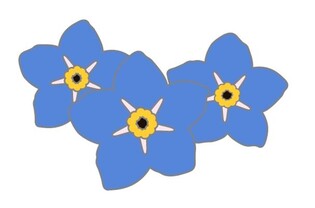 "北 억류 국민, 잊지 마세요"…물망초 의상, 패션위크 수놓는다