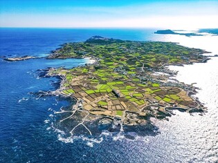 [걷고 싶은 길] 섬 속의 섬, 우도 올레