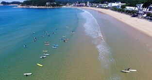 "2천만명 넘본다" 태안에 지난해 1천775만명 방문