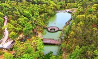 [Yonhap Imagine] Busan’s Gijang County rises as ‘forest leisure city'