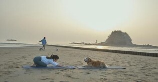 "반려동물과 함께 태안 여행"…3월까지 10차례 200팀 대상 운영