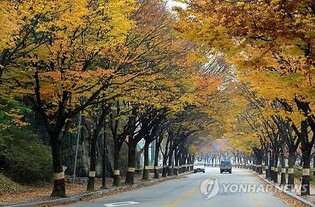 남원시 미디어아트 전시장 건립…아트밸리 조성사업 본격화
