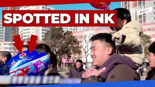 What is this S. Korean animation icon doing in N. Korea?