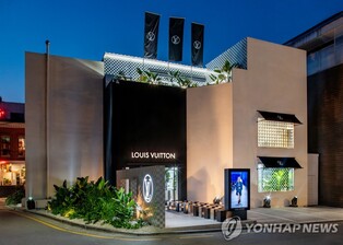 루이비통, 일부 가방제품 가격 인상…'김희애백'은 인하