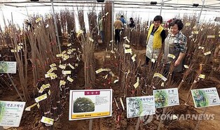 세종전의묘목축제 내달 22∼24일 열려…전시·체험 행사 풍성