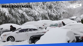 Heavy snow overnight causes chaos in Seoul and Gangwon Province