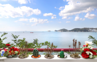[Yonhap Imagine] Exploring the Southeastern Tip of the Korean Peninsula, Yeongdo... Galmaetgil Section 3-3