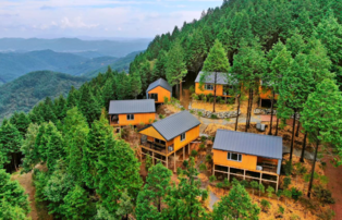 [Yonhap Imagine] Healing Destination Journey through Lush Pine Tree Forest: 'Hadong Pine Tree Natural Recreation Forest'