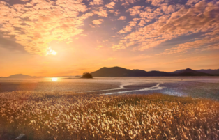 [Yonhap Imagine] Vibrant Suncheon Bay