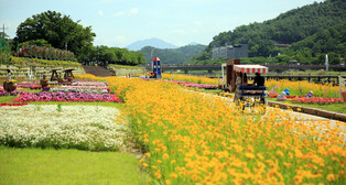 30,000 won Spring Train Trip Lures Shallow Pocketed Visitors To Namwon