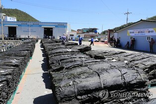 완도산 다시마로 만든 화장품 미국 진출