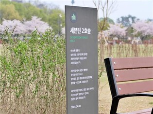 Another Seventeen forest created at Seoul park