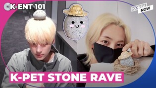 Why TXT Huening Kai, SEVENTEEN Jeonghan are raising pet stones