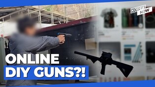 S. Korea on alert over online shopping malls selling home-made gun parts