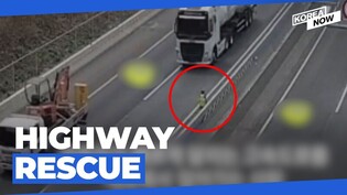 Police rush to rescue disoriented pedestrian on highway