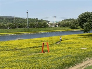 "농업의 가치 즐기세요" 청주 도시농업페스티벌 내일 개막