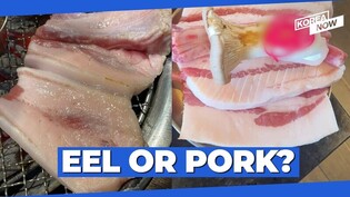 Despite Jeju's pledge to end the "Fatty Pork Belly controversy" additional cases emerge