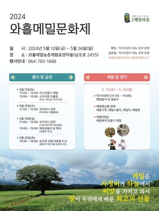 "메밀꽃 보러 오세요" 제주 와흘메밀문화제 열려