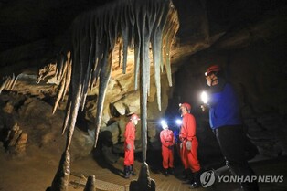 평창군, 백룡동굴 무료 개방 행사…국가유산청 출범 기념